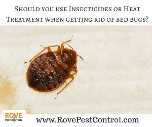 rovepestcontrol.com, rove pest control, bed bugs, getting rid of bed bugs, heat treatment, bed bug heat treatment, insecticides vs heat treatment, bed bug removal