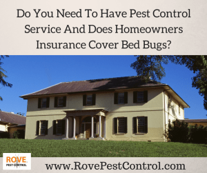 pest control service, does homeowners insurance cover bed bugs, bed bugs, pest control insurance, pest control, rove pest control, pest control minnesota, pest control minneapolis,