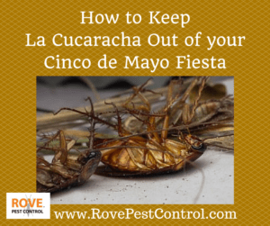 la cucaracha, cockroach, roaches, how to get rid of roaches, how to prevent roaches, cinco de mayo, cinco de mayo fiesta