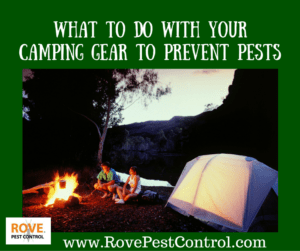 camping gear, camping, pest control, camping insect control