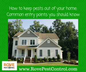 how to keep pests out of your home, pest proof, pest proofing, exclusion