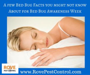 bed bug facts, bed bug awareness week, 