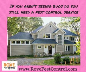 pest control services, pest control, insect infestation, infestation, do i need to hire a pest control service