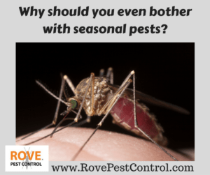 pest control, seasonal pests, pest control service, minnesota pest control