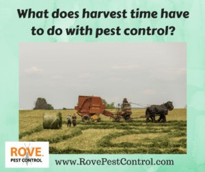 pest control, pest control service, harvest time, harvest, pest control tips