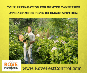 pest control, fall pest control, winter pest control, garden pests, pest control 