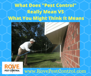 what-does-pest-control-really-mean-vs-what-you-think-it-means, pest control service, pest control treatments, pest removal, pest removal services