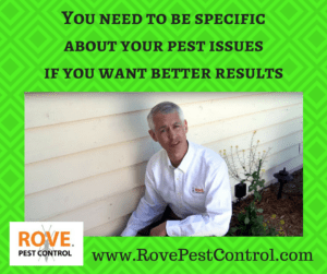 you-need-to-be-specific-about-your-pest-issues-if-you-want-better-results, pest control service, pest control, minnesota pest control, minneapolis pest control, pest issues