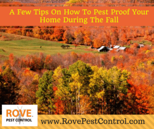 fall pest control, pest proof, pest proofing, how to pest proof your home, pest proof your home, pest proofing your home, 