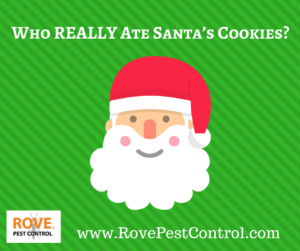 pest control tips, pest control, winter pest control, santa's cookies, 