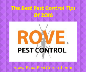 pest control, pest control tips, pest control 2016