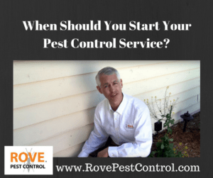 pest control service, when should you get a pest control service, when should you start a pest control service
