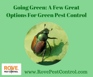 Green pest control, natural pest control, organic pest control, going green, 