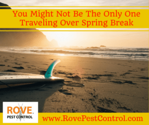 You Might Not Be The Only One Traveling Over Spring Break, spring pest control, pest control tips, 
