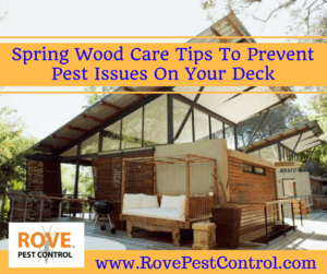spring wood care, spring cleaning, wood care, keep deck safe from pests, keep pests away from your deck, pest removal tips, 