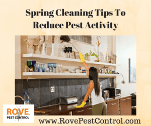 reduce pest activity, how to reduce pest activity, spring pest control, pest control tips, spring cleaning