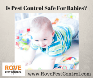 pest control safe for babies, is pest control safe for babies, is pest control safe for kids, kid safe pest control, baby safe pest control
