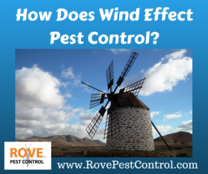 wind speed, pest control, pest control tips, how does wind effect pest control 