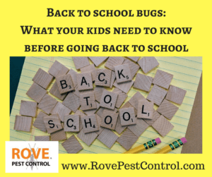 Back to school bugs- What your kids need to know before going back to school, back to school, bed bugs, school, wasps, lice