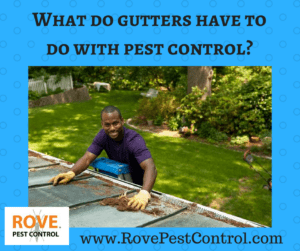 what do gutters have to do with pest control, pest control, pest control tips, gutters, gutters and pest control, moles, voles, mosquitoes, wasps