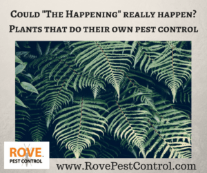 plants and pest control, plants that do their own pest control, do your own pest control, defense mechanisms, the happening, the happening movie, could the happening really happen,