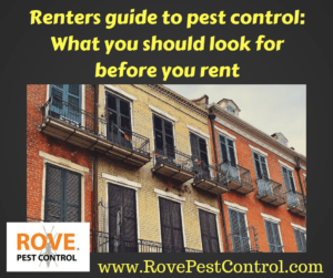 Renters guide to pest control, pest control for renters, do you need pest control if you rent, how to protect yourself from pests if you rent
