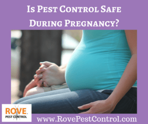 is pest control safe during pregnancy, is pest control safe while pregnant, is pest control safe while you are pregnant, can you use pest control if you are pregnant, should you hire a pest control service if you are pregnant