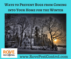 ways to prevent bugs from coming into your home for the winter, ways to prevent pests from coming into your home for the winter, how to prevent pests from coming into your home for the winter, winter pest control, pest control tips