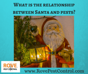 Santa, christmas, pests, pest control, winter pest control, pest control tips