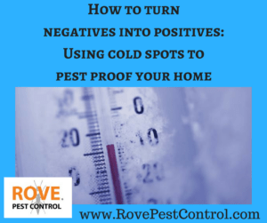 www.RovePestControl.com, pest proof, pest proofing, how to pest proof your home, how to pest proof, cold spots, turning negatives into positives,
