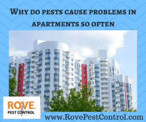 www.RovePestControl.com, pests, pest control tips, apartment pest control, pest control for apartments, how to kill bed bugs, why do pests cause problems