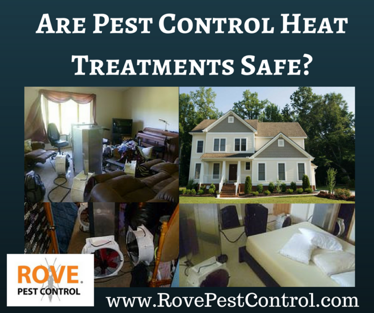 Are Pest Control Heat Treatments Safe? Rove Pest Control