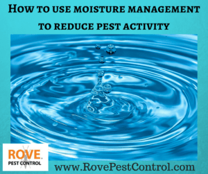 www.RovePestControl.com, moisture management, moisture control, how to get rid of spiders, how to get rid of centipedes, how to get rid of mosquitoes, getting rid of spiders, getting rid of mosquitoes, getting rid of centipedes, How to use moisture management to reduce pest activity