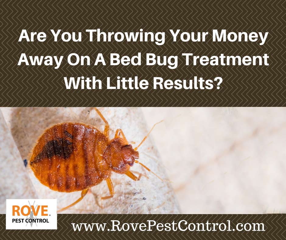 bed bug treatment, bed bug treatments, bed bugs treatments, how to kill bed bugs, how to get rid of bed bugs, 
