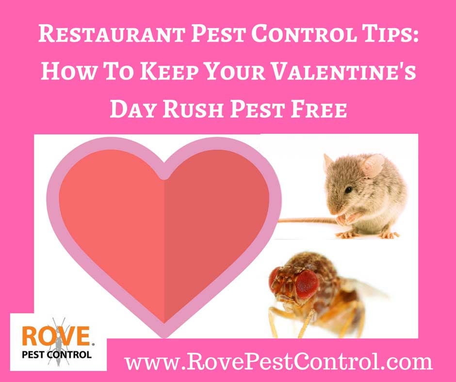 restaurant-pest-control-tips-how-to-keep-your-valentines-day-rush-pest-free, pest control, pest control tips, restaurant pest control, 