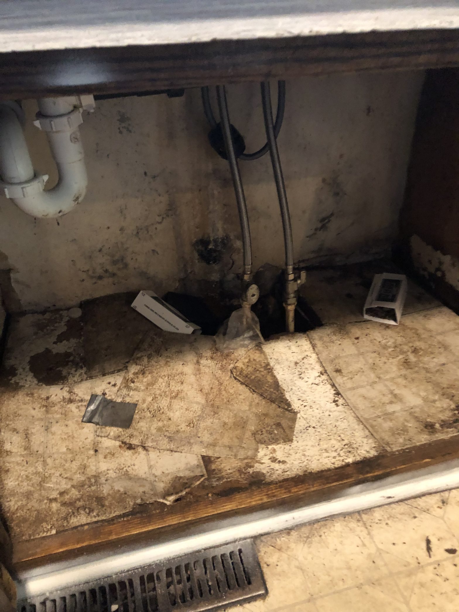 Does Heat Kill Roaches Rove Pest Control