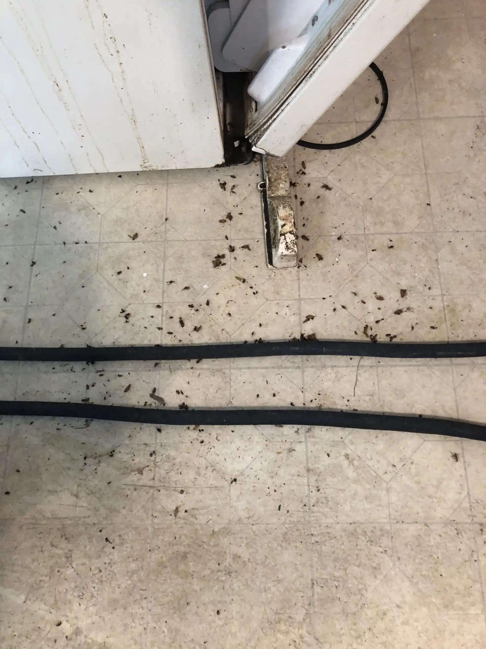 dirty appliances and floor