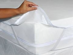 Bed Bug Prevention on Bed