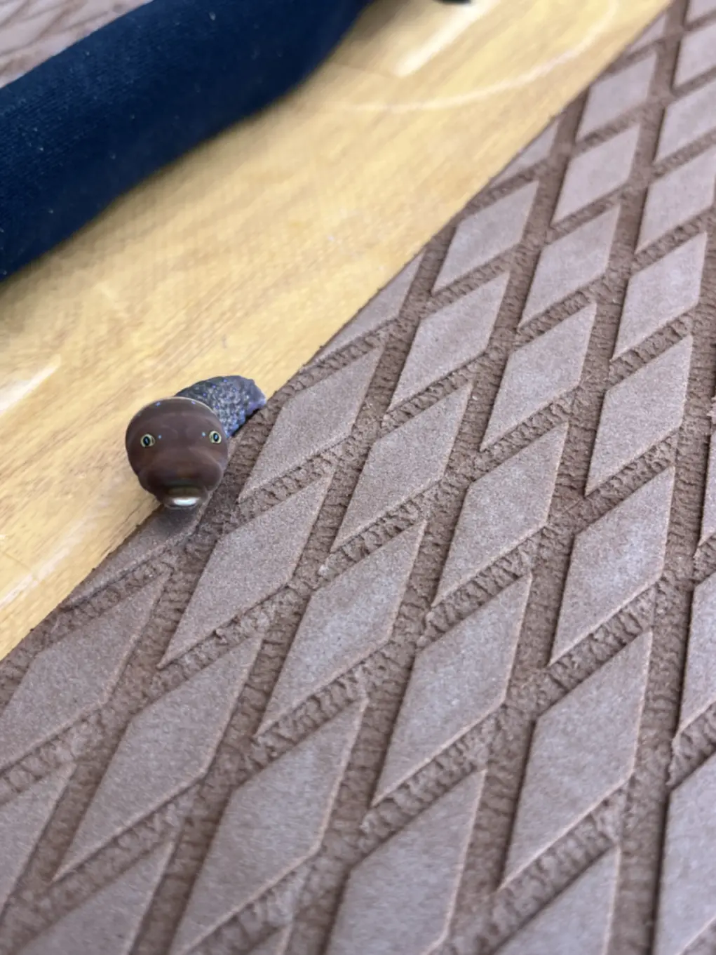The image depicts a small, dark brown caterpillar with a rounded head and green eyes, positioned on a textured surface featuring a diamond pattern. The caterpillar's body is adorned with blue speckles, and it rests on a light brown surface with a darker brown diamond pattern, which appears to be a rug or mat placed on a wooden floor.