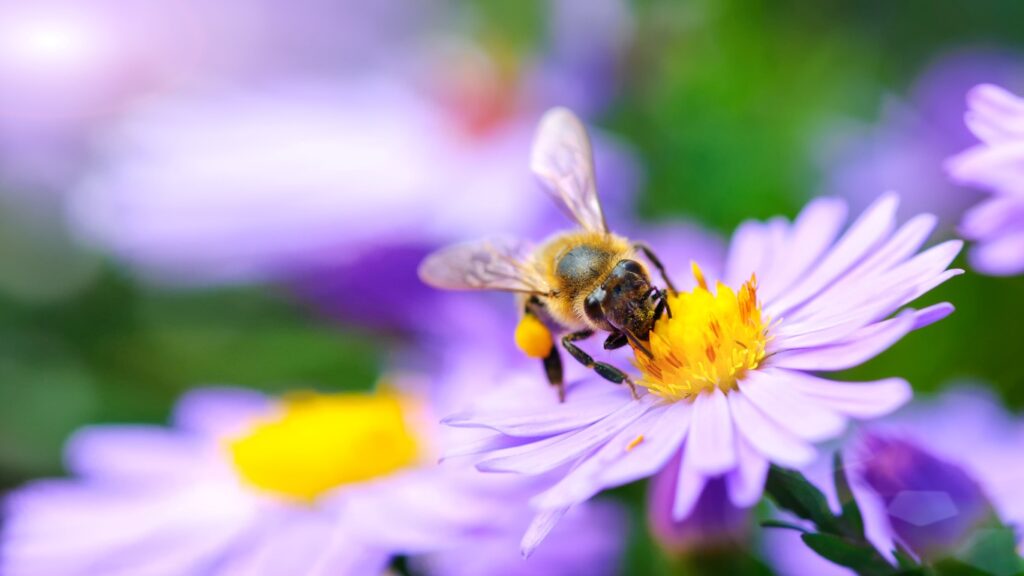How To Prepare Your Home for Spring Pests